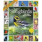 Audubon Songbirds And Other Backyard Birds Picture-A-Day® Wall Calendar 2026