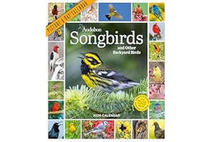 Audubon Songbirds And Other Backyard Birds Picture-A-Day® Wall Calendar 2026