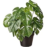 Amazon Basics Artificial Monstera Plant with Plastic Nursery Pot, 13-Inch