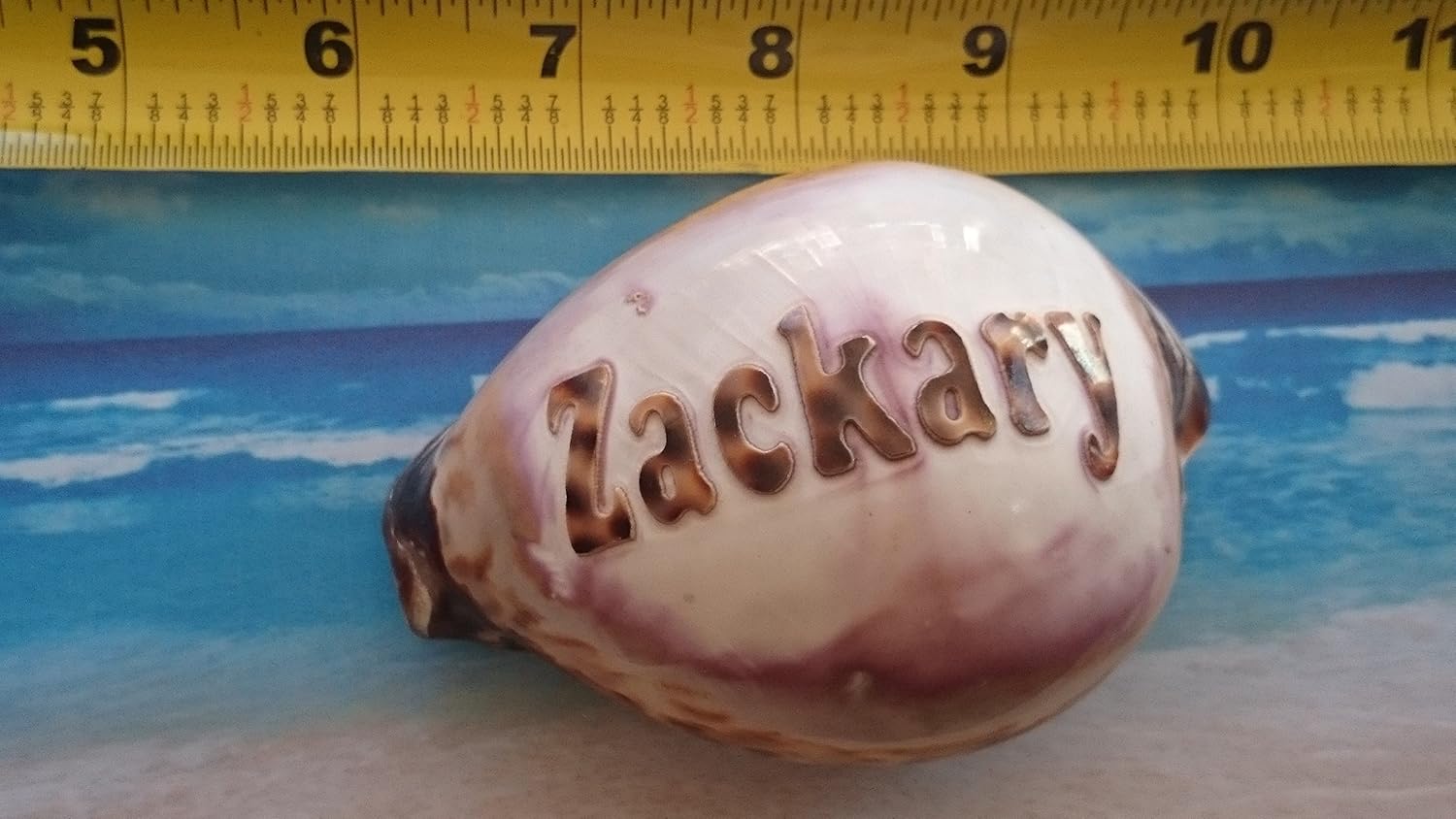 Amazon.com: 'Zackary' Personalized Custom Engraved Shells. Names ...