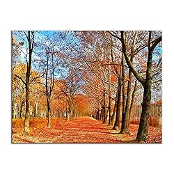 Natural Landscape Canvas Wall Art Autumn Maple