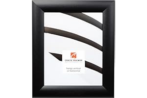 Craig Frames Contemporary Wide, 24 by 30-Inch Black Satin Picture Frame
