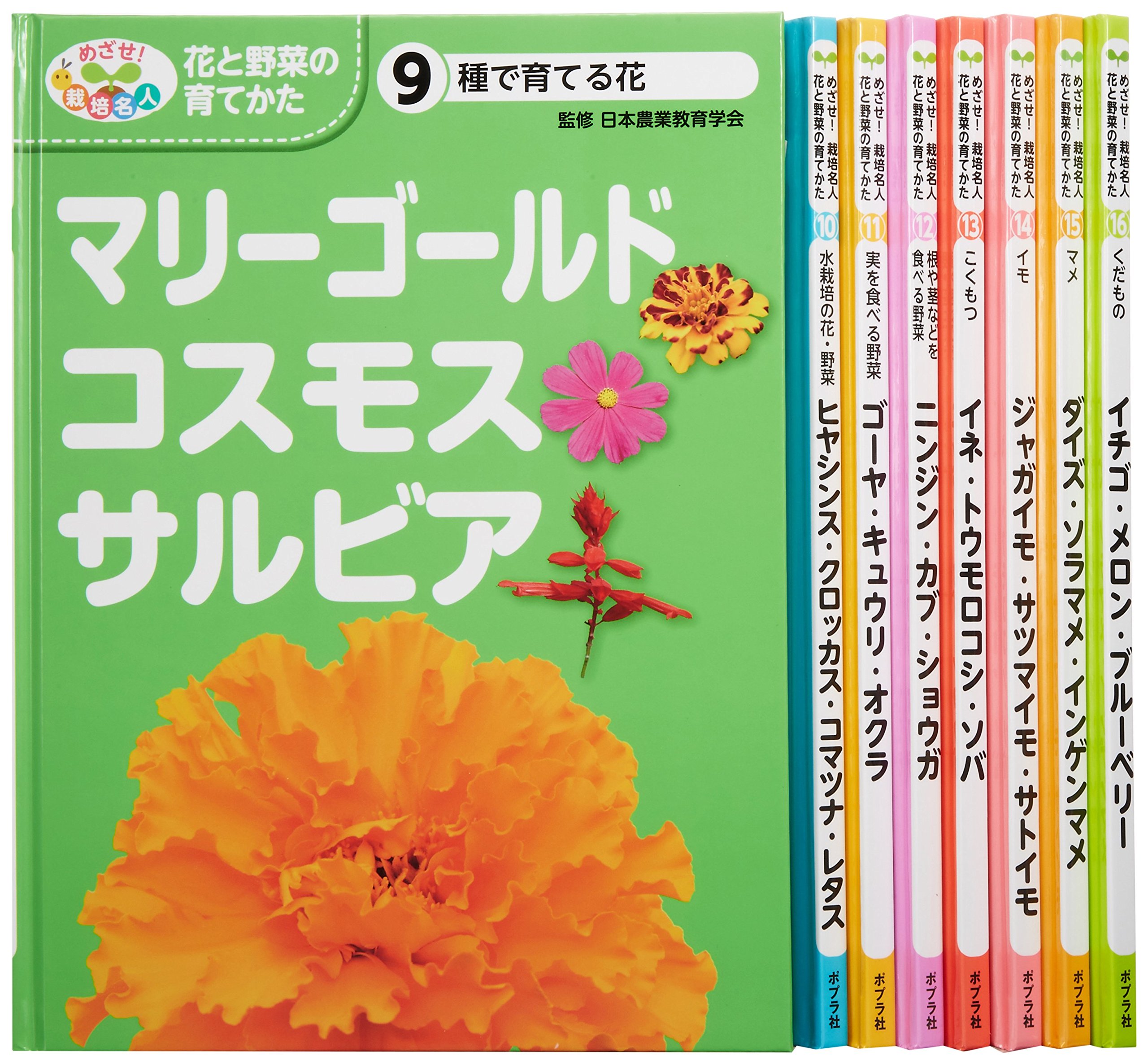 めざせ 栽培名人花と野菜の育てかた第2期 全8巻セット 日本農業教育学会 本 通販 Amazon