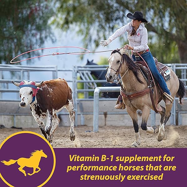 FARNAM HORSE HEALTH VITA B-1 CRUMBLES SUPPLEMENT FOR HORSES, SUPPORTS OPTIMAL MUSCLE ACTIVITY AND METABOLISM FOR PERFORMANCE, 3 POUNDS, 48 DAY SUPPLY