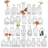 Der Rose 30PCS Clear Glass Bud Vases Set, 3"–5" Mini Flower Vases in Assorted Shapes for Wedding Centerpieces, Home Table & P