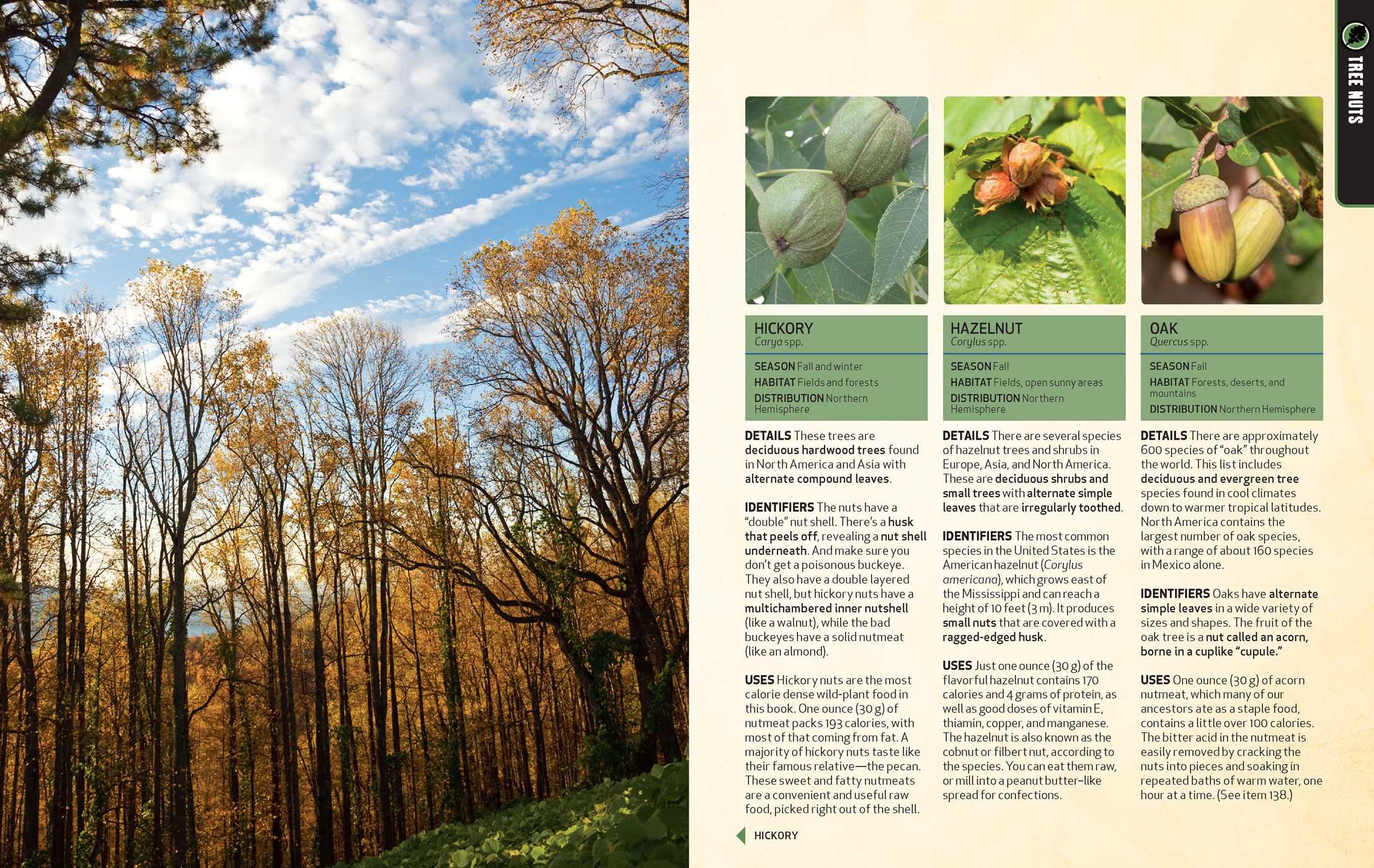 The Hunting & Gathering Survival Manual: 221 Primitive & Wilderness  Survival Skills: Tim MacWelch: 9781616288310: Amazon.com: Books