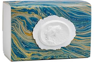 EARTH MEMORIALS The Favorite Place® Burial Biodegradable Urn for Human Ashes, (Large Fish Urn), Water Burial Urn, Urn for Cremation, Cremation Urn Box, EcoFriendly Urn, (Fish on Blue Ocean Paper) K-105