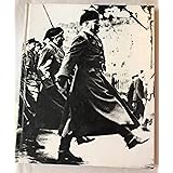 Italy at War (World War II)