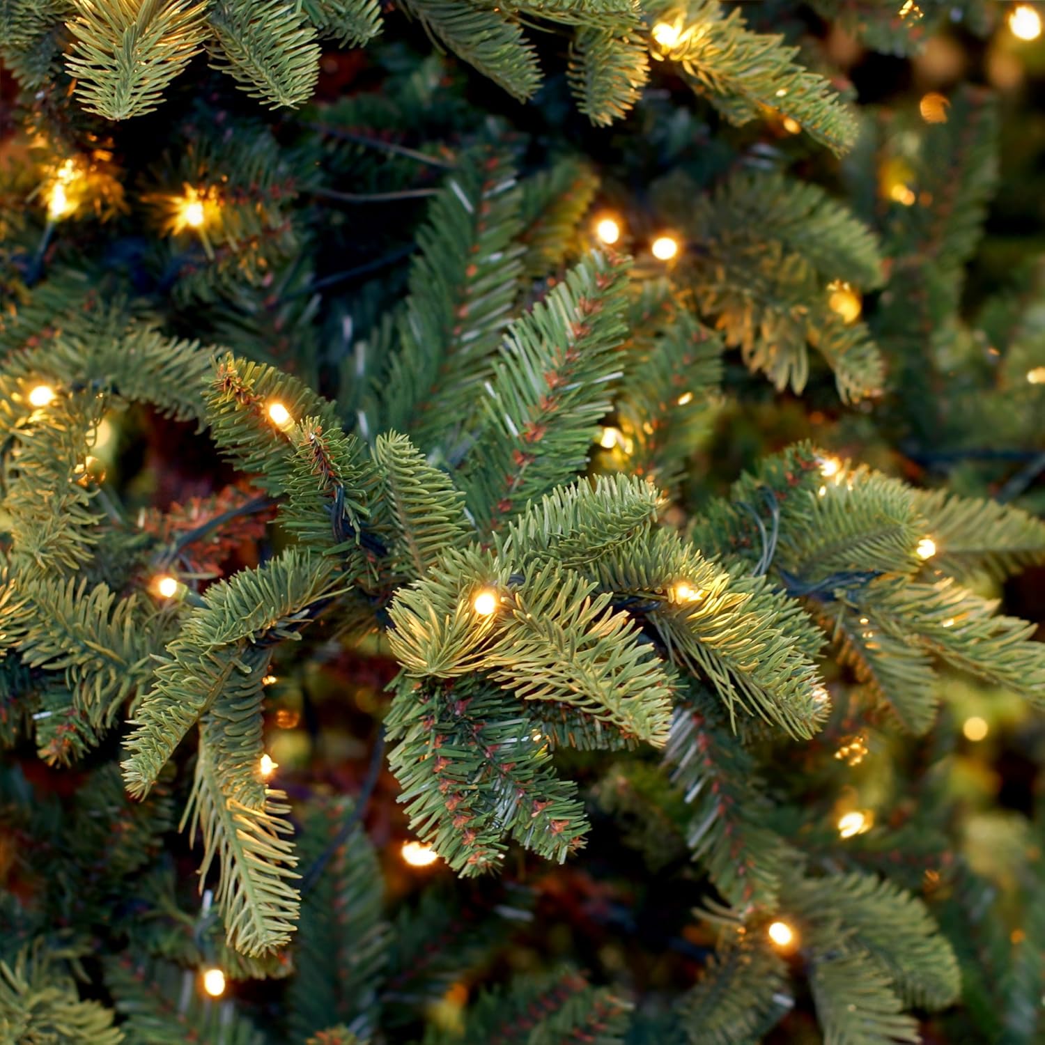 Prextex 100-Count Clear Green Wire Christmas Light Set Christmas Decorations : Garden & Outdoor