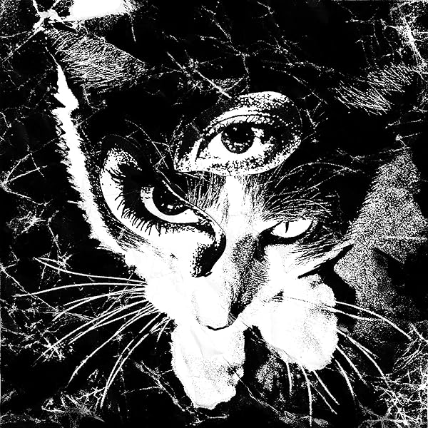 TOKYO SHOEGAZER (東京酒吐座) - CRYSTALLIZE (10TH ANNIVERSARY