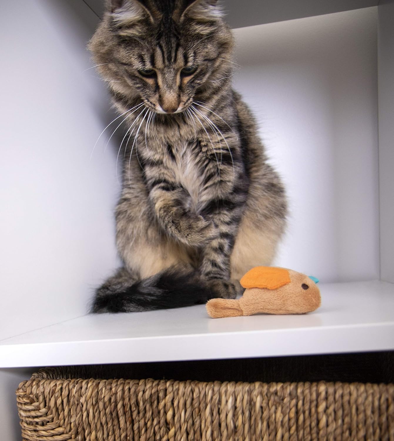SmartyKat Electronic Sound, Motion or Light Cat Toys : Pet Mice And Animal Toys : Pet Supplies