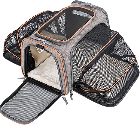 Sac Transport Chat Transport Des Petits Animaux Sacs De Transport Pour Chiens Amazon Fr Animalerie