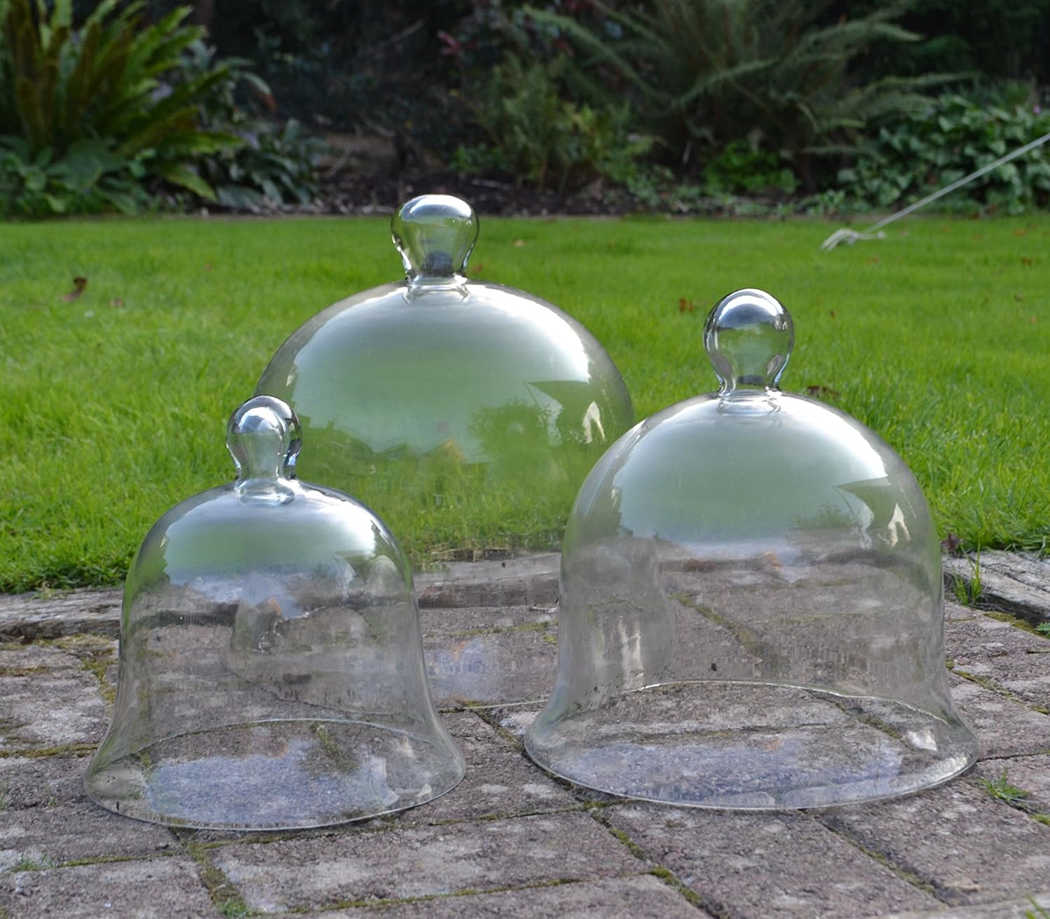 Large Glass Garden Cloche Fasci Garden