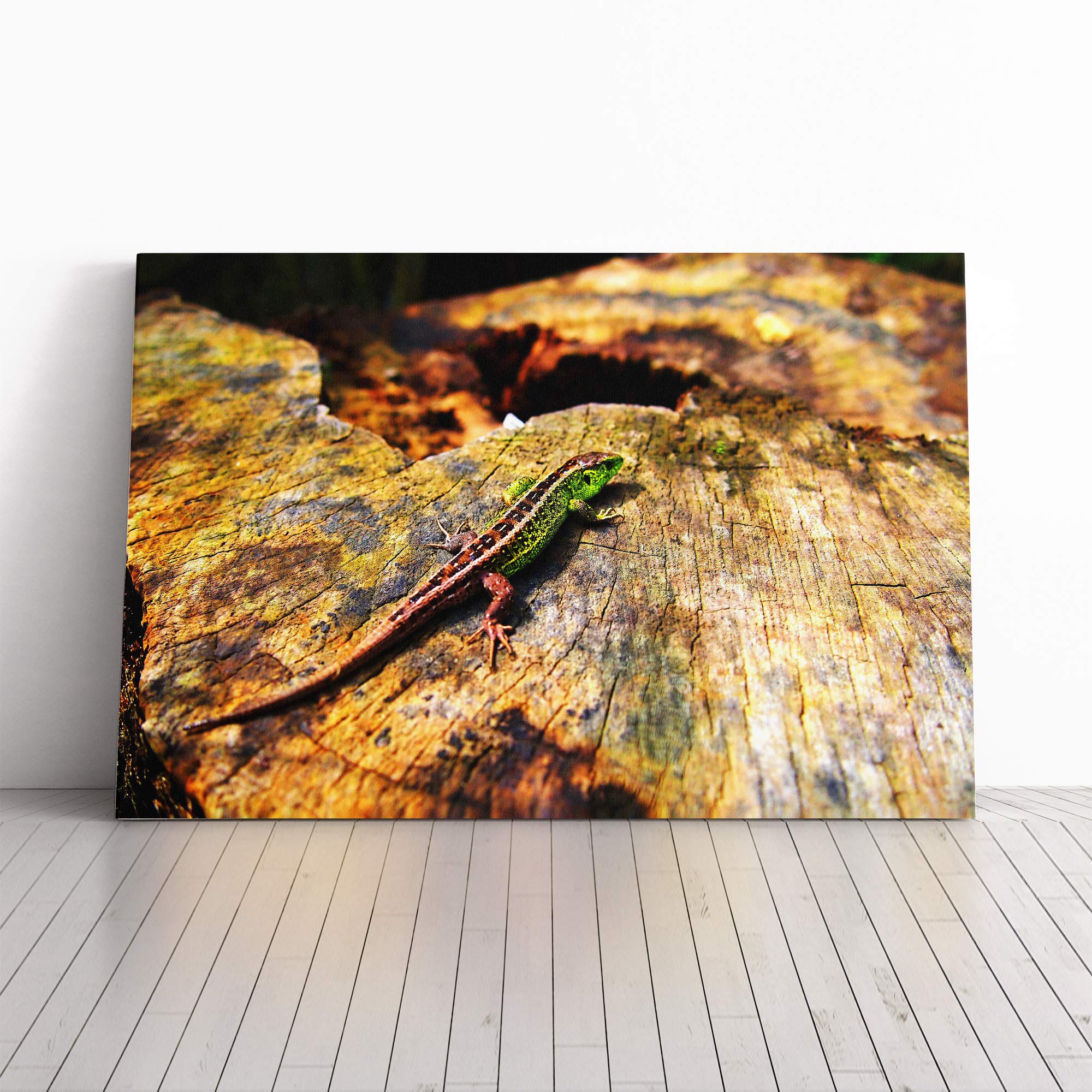 Lizard Reptile (3) Canvas Print | Gallery Wrapped 30mm Frame Wall Art | 20x14 inches | Ready to Hang | Modern Animals Picture | Living Room Bedroom Lounge Office