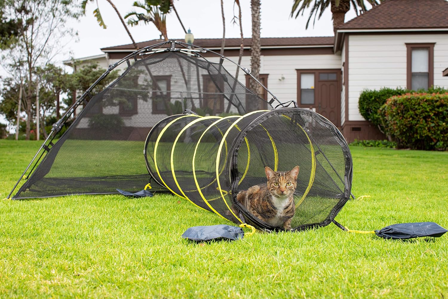 outdoor cat tent