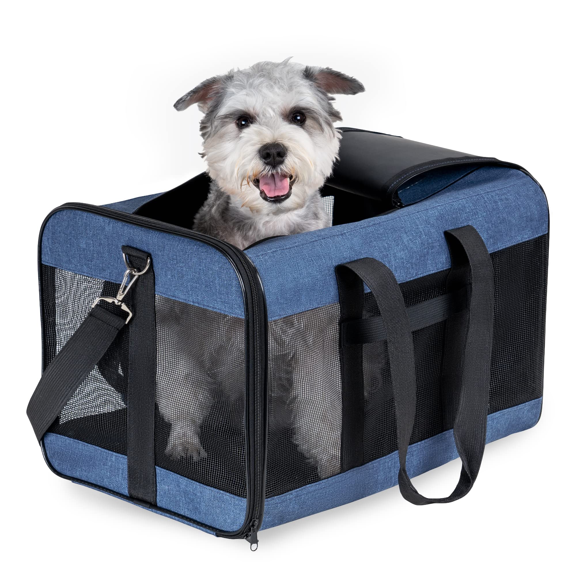 HITSLAM Pet Carrier Dog Carrier Soft Sided Pet Travel Carrier for Cats, Small dogs, Kittens or Puppies, Collapsible, Durable, Travel Friendly Blue (L)