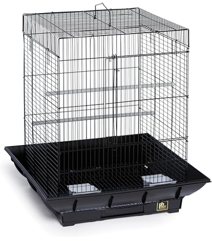 Amazon.com : Prevue Hendryx SP851B/B Clean Life Play Top Cage