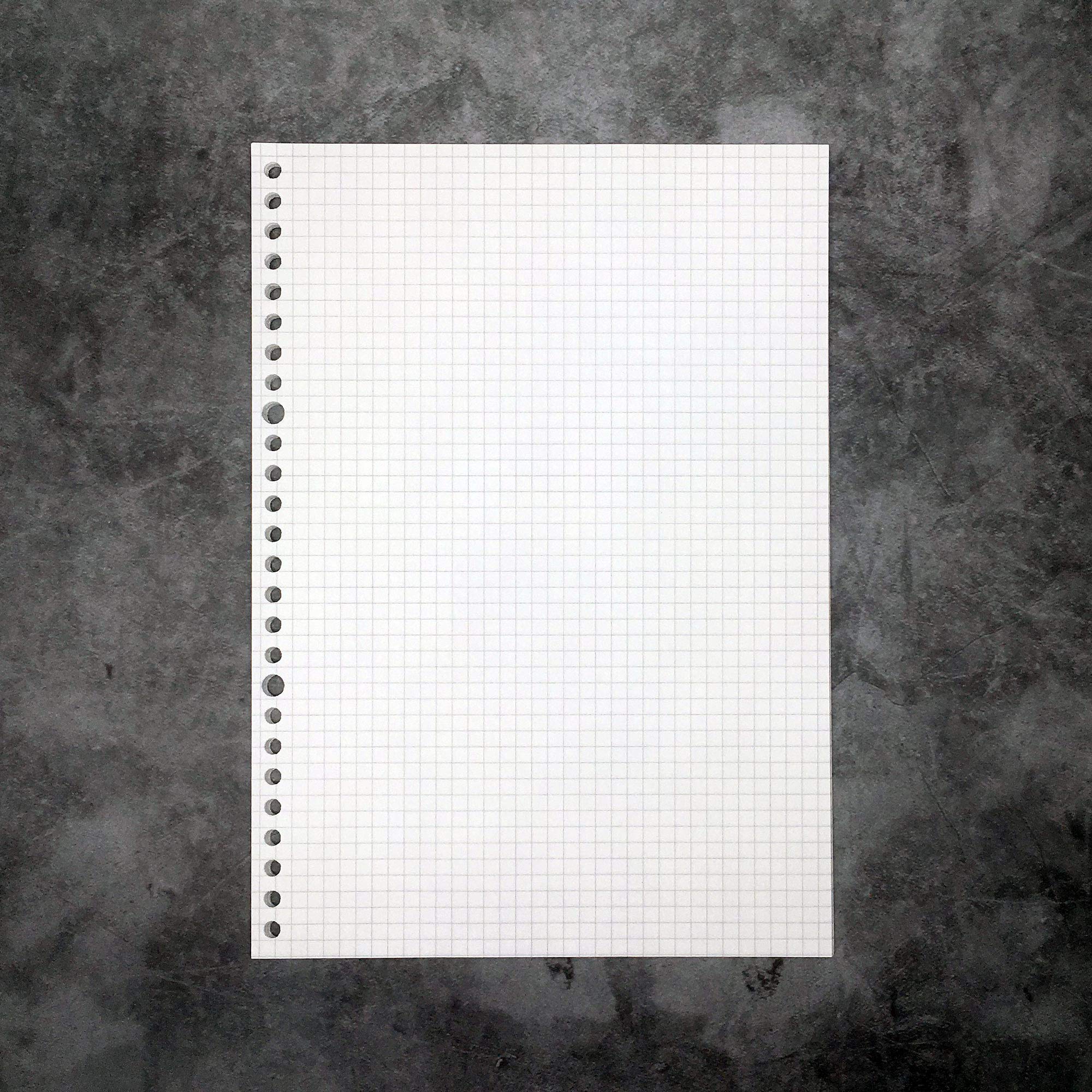 Zelten Refills/Loose Leaves for B5 Cover Ring Binder/Personal Organiser/Planner(B5 26 Holes, Grid Graph 2 Pack)