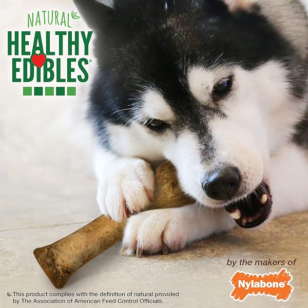 NYLABONE HEALTHY EDIBLES NATURAL DOG CHEWS LONG LASTING BACON FLAVOR TREATS FOR DOGS, X-LARGE/SOUPER (1 COUNT)