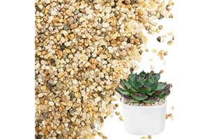 NUPICK 3-5mm Coarse Sand for Plants, 6lb Horticultural Grit for Succulents, Desert Silica Sand for Cactus, Decorative Gravel for Landscaping, Gold Grit for Aquariums, Bonsai, Vases Fillers