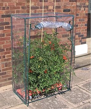 VARILANDO Tomaten-Gewächshaus Wachstumshilfe