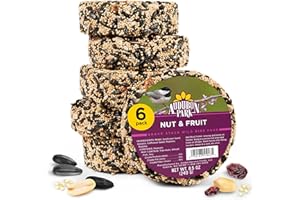 Audubon Park Nut & Fruit Snack Stack Wild Bird Food, Bird Seed Cake for Outside Feeders, 6-Pack