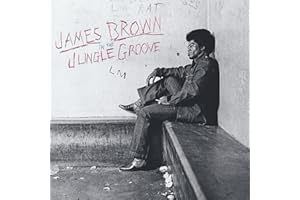 In The Jungle Groove [2 LP]