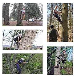 PROLEE Tree Climbing Gear Non-Slip 2 Gear with