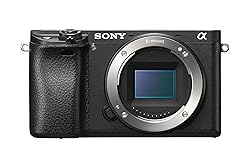 Sony Alpha a6300 Mirrorless Digital Camera with E