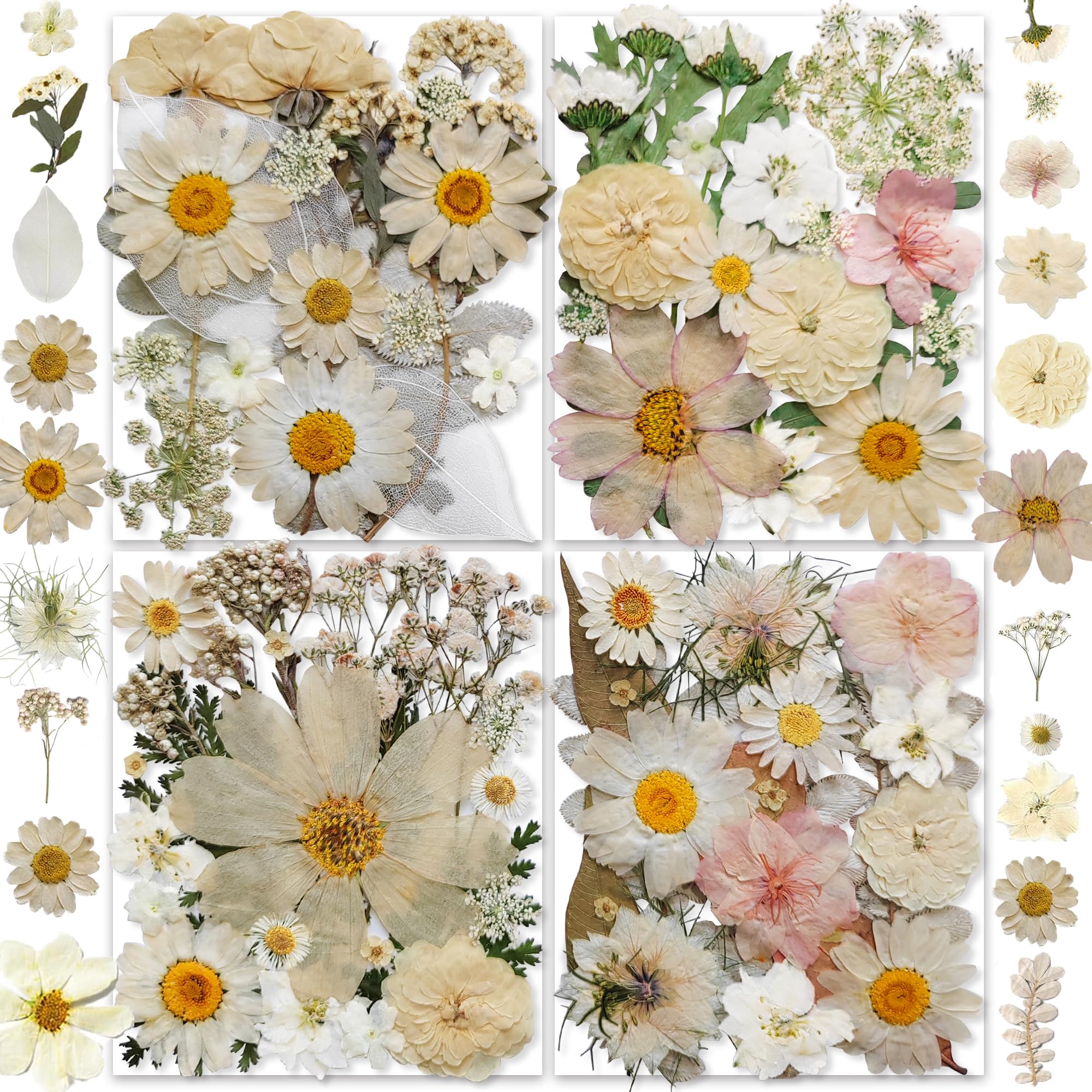 YouthBro 135PCS White Dried Pressed Flowers with Butterfly Stickers Real Nature Flowers Herb Set for Resin DIY Jewelry Candle Soap Vase Making Nail Card Scrapbook Art Craft Floral Decors