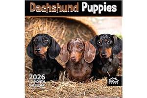 MICASA PRESS MICASA Dachshund Puppies 2026 Wall Calendar 12 Month | 12" x 24" Open | Thick & Sturdy Paper | Giftable | Calendar 2026