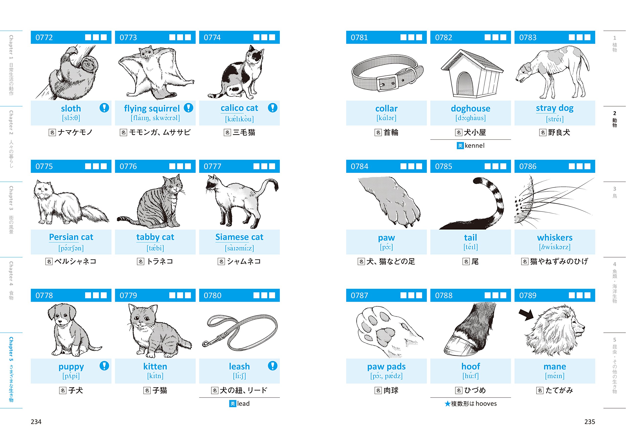 イラストだから覚えられる 会話で必ず使う英単語1100 Amazon Com Books