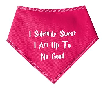 Spoilt Rotten Pets Pink S4 I Solemnly Swear I Am Up To No Good