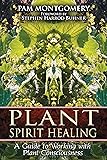 Sacred Plant Medicine: The Wisdom in Native American