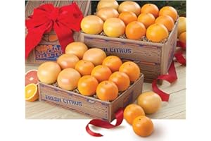 COLLEGE CITRUS Navel Oranges and Ruby Red Grapefruit-1 tray