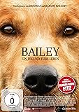 Bailey - Ein Freund fürs Leben
