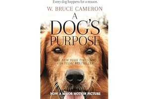 kindle best category lists