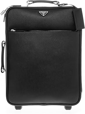 prada carry on