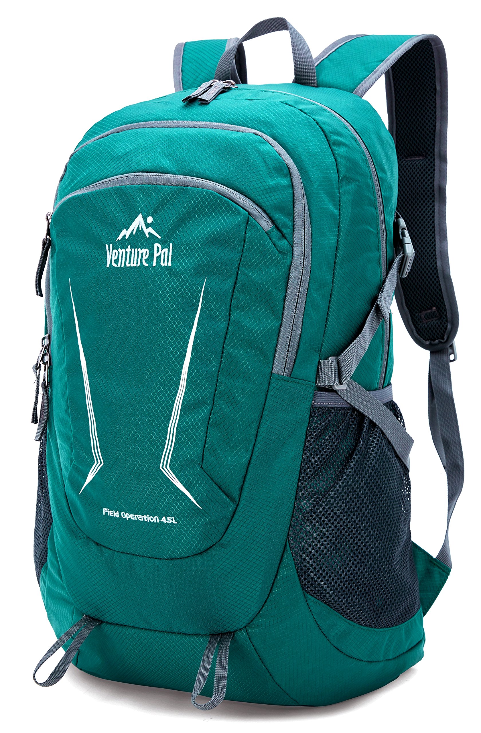 venture pal backpack