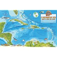 Caribbean Sea Map &amp; Reef Creatures Guide Franko Maps Laminated Fish ...