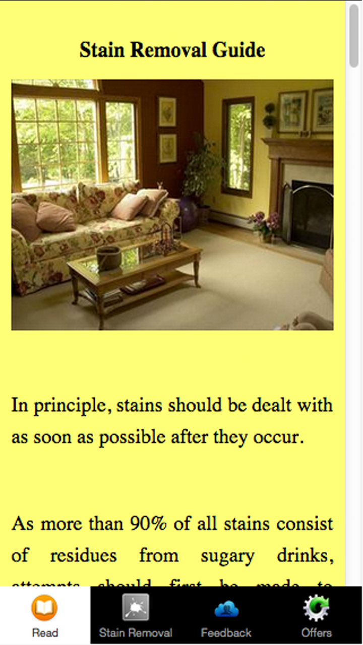 Stain Removal Guide