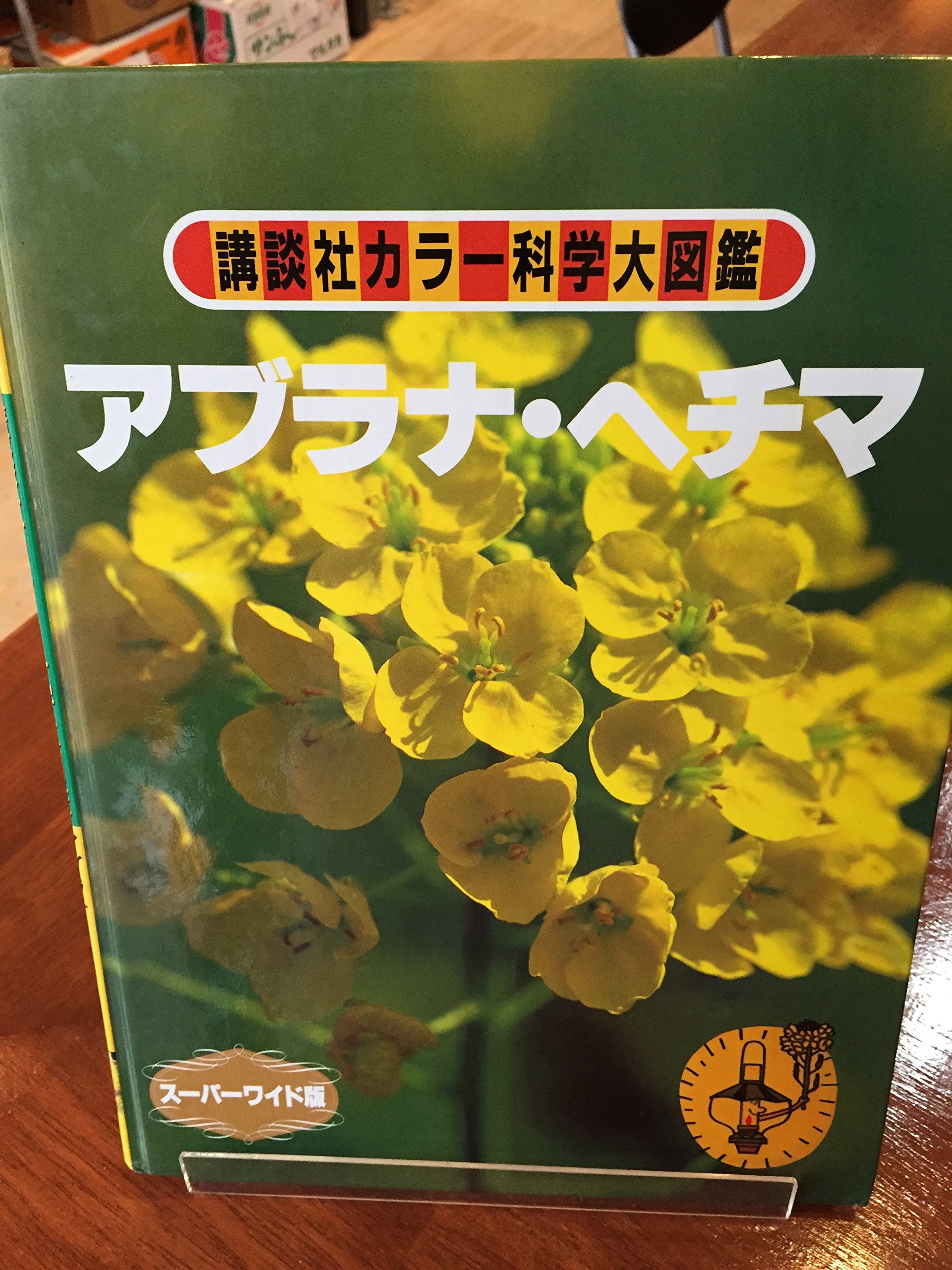 アブラナ ヘチマ 講談社カラー科学大図鑑 スーパーワイド版 永井 昭三 本 通販 Amazon