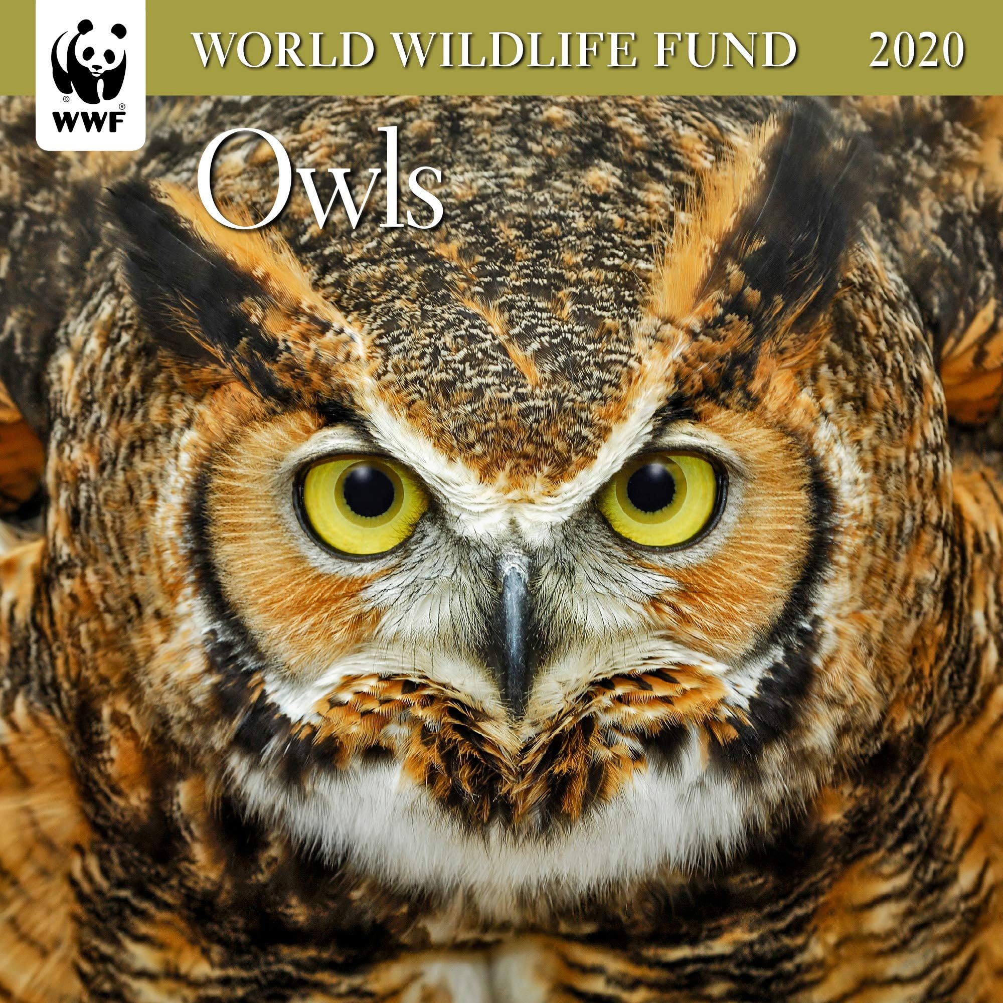 WWF Owls Mini Wall Calendar 2020 Monthly January-December 7" x 7"