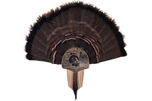 HOGDSEIRRS Walnut Hollow Country Turkey Fan Mount & Display Kit, Does not Apply