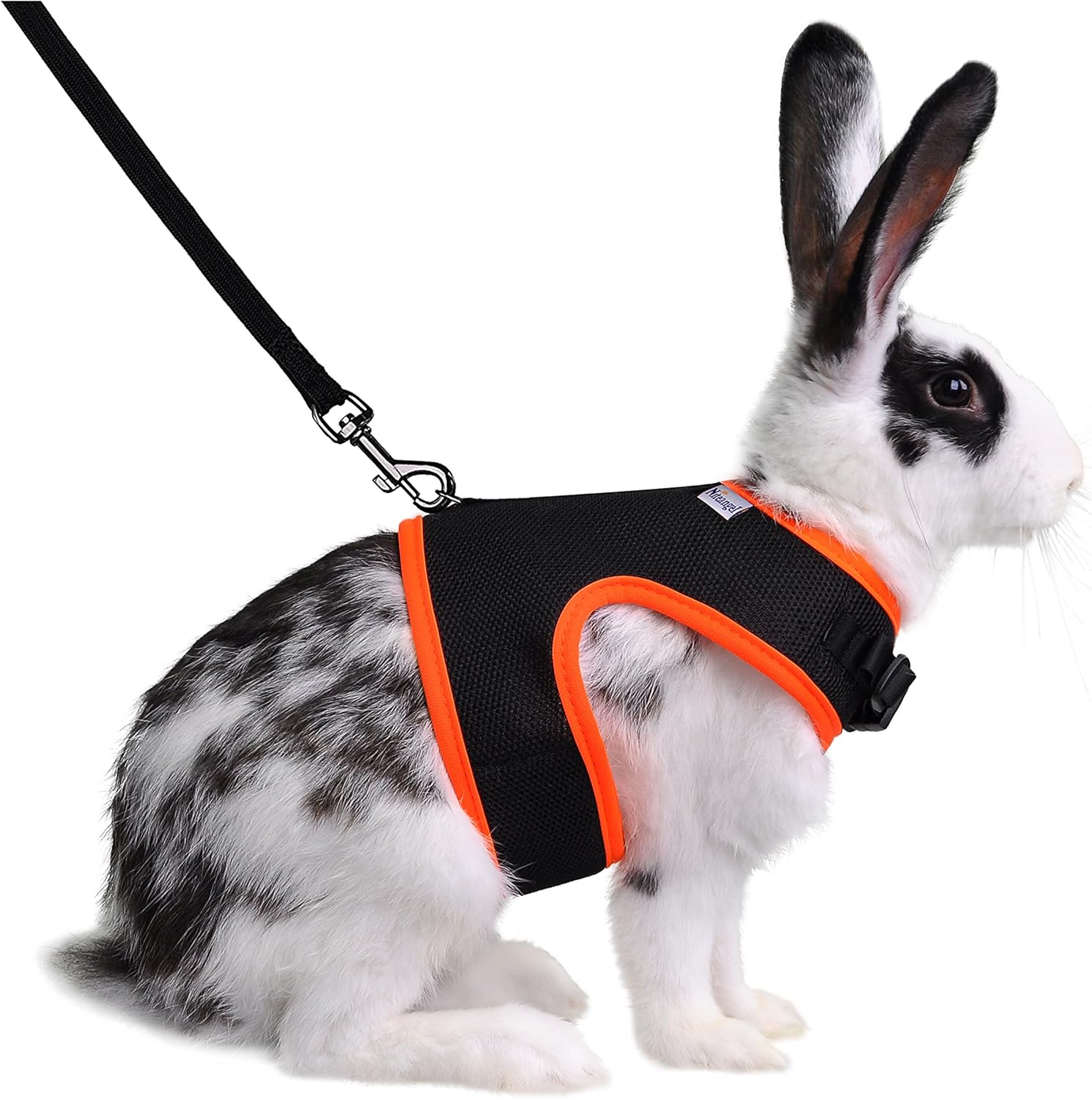niteangel adjustable soft harness with elastic leash for rabbits