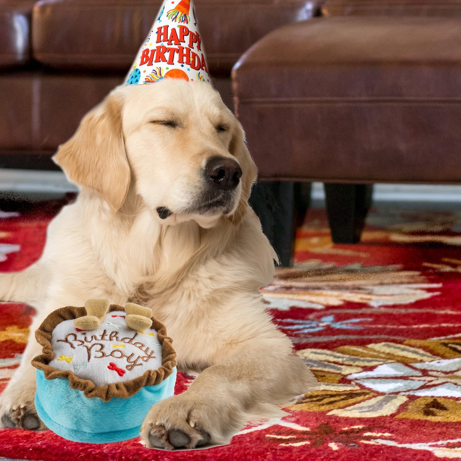 Haute Diggity Dog Birthday Collection, Soft Plush Celebration Dog Toys with Squeaker and Fun, Colorful - Image 4