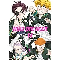WIND BREAKER 12: Nii, Satoru: 9781646519590: Amazon.com: Books