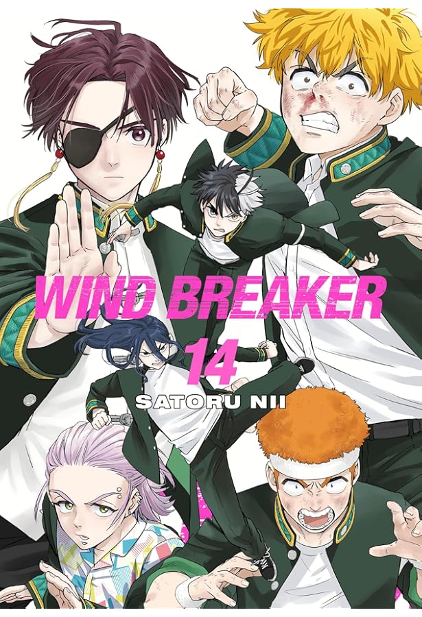WIND BREAKER 15: Nii, Satoru: 9781646519620: Amazon.com: Books