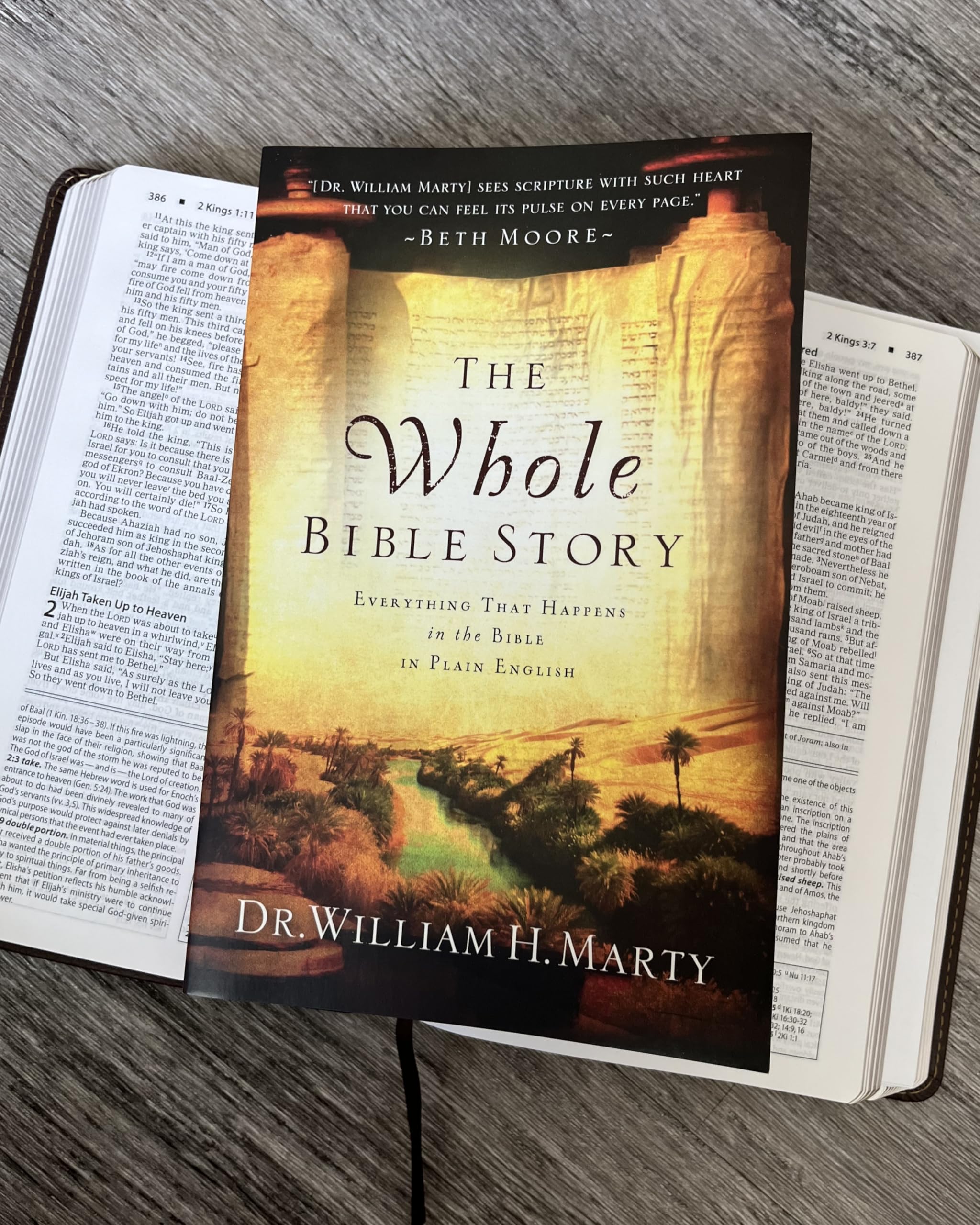 The Whole Bible Story: Everything That Happens in the Bible in Plain English (A Chronological Recap for Understanding the Bible―Stories of the Bible and Bible Study for Adults)