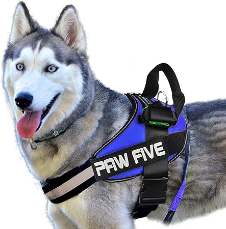 small dog harness amazon